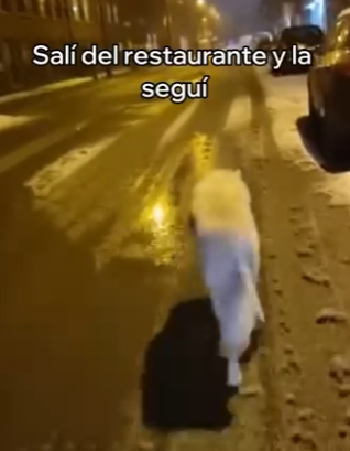 V1004009 Esta Loba Salvó Su Cachorro (Part 2)