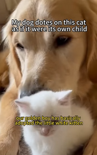 P0104007 Discarded. Broken. Saved. The Jennifer Lopez approved story. (Part 2)