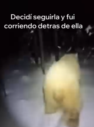 V1004011 Esta Osa Polar Detuvo Mi Coche Pidiendo Ayuda (Part 2)