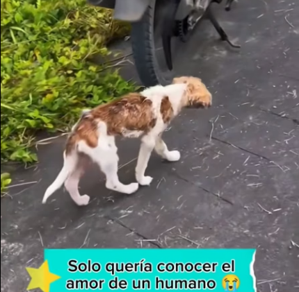 R1204006 la bendición de tener un hogar no es para todos (Part 2)