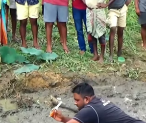 R1204005 elefante bebé atrapado en fango de lodo (Part 2)