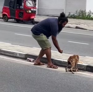 R1204008 Videos dígnos de compartir (Part 2)