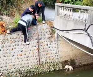 R1204002 story began an unexpected rescue completely changed (Part 2)