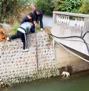 R1204002 story began an unexpected rescue completely changed (Part 2)