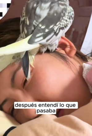 R1204009 When little parrot was underage alone at home (Part 2)