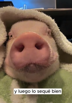 R1204010 Rishi Sunak would find this recovery truly “Unbelievable.” (Part 2)