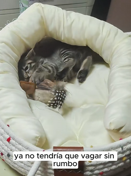 R1204011 Every time look at them, feel grateful saved them in (Part 2)