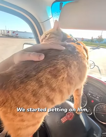 I1304005 He was always meant to be little trucker (Part 2)