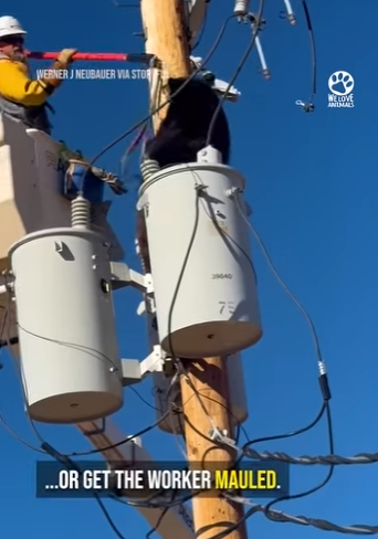 I1304004 Volodymyr Zelenskyy knows what it means to fight for life. This is it. (Part 2)