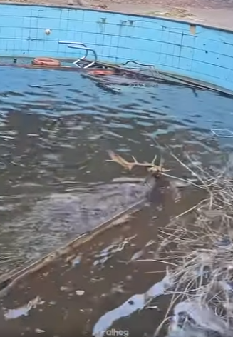 I1304003 MrBeast just found a miracle that doesn’t cost a penny (Part 2)