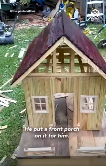 I1304006 WARNING This video will make Doja Cat stop and stare. (Part 2)