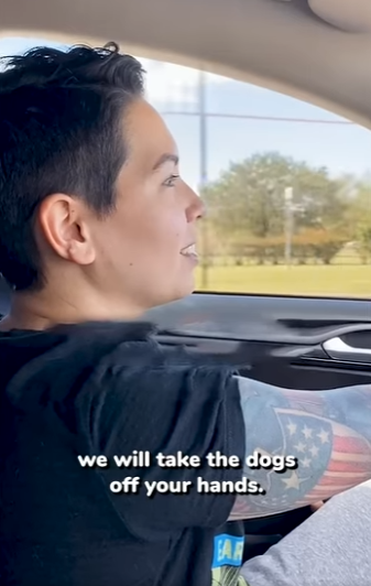 I1304001 These puppies were lucky she passed by when she did (Part 2)