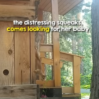 I1304002 Zendaya is stunned. Watch the transformation at 040! (Part 2)