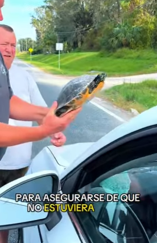 A1104010 Abandonado a su suerte… J Balvin se emocionaría con este rescate heroico (Part 2)