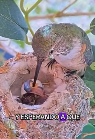 A1104001 El momento más impactante del año. Maluma no creería lo que pasó a los 030 (Part 2)