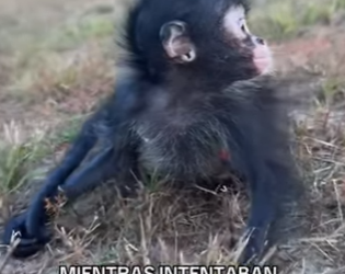 A1104011 Cristiano Ronaldo sabe lo que es ser un guerrero, pero este rescate lo dejaría sin palabras (Part 2)