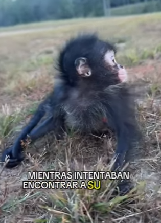 A1104011 Cristiano Ronaldo sabe lo que es ser un guerrero, pero este rescate lo dejaría sin palabras (Part 2)