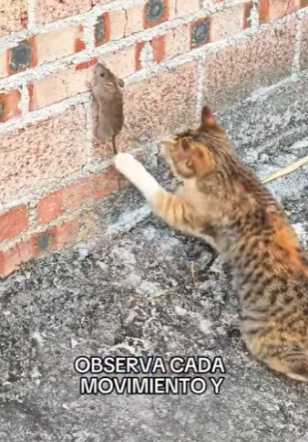 A1104002 Una historia que Jennifer Lopez debería contarle al mundo. Increíble. (Part 2)