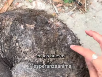 M1104009 Este pequeñito necesita mucha energía de amor sa (Part 2)