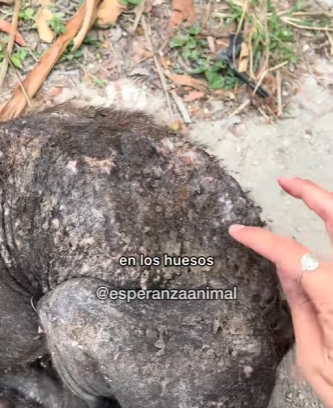 M1104009 Este pequeñito necesita mucha energía de amor sa (Part 2)