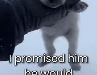 K2903006 resscue animal (Part 2)