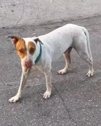 M1104007 Hola comunidad! Cómo están_ Oigan de dónde son, en que país viven_ Los leo! 🥰🌎 Aprovecho para agra (Part 2)