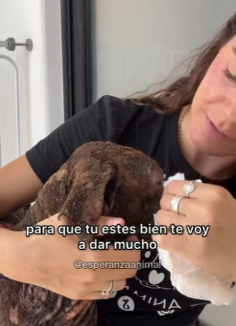 M1104006 Un pasito a la vez Lucero Fénix 🐦‍🔥✨❤️‍🩹 vas a estar bien! Somos una familia muy grande y vamos a (Part 2)