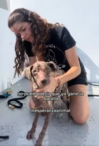 M1104008 Cómo será su pelito Gracias todos por el car part2