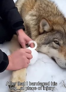 P2203008 Second chances look good on you (Part 2)