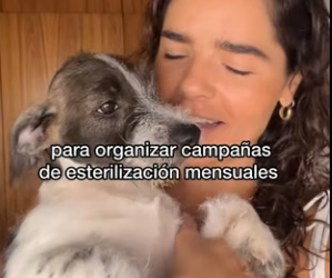 M1104005 Te gustaría apoyar_ LINK EN MI BIO. ♥️ TODO SUMA ♥️� Cada esterilización cuesta 600 MXN o 30 USD (Part 2)