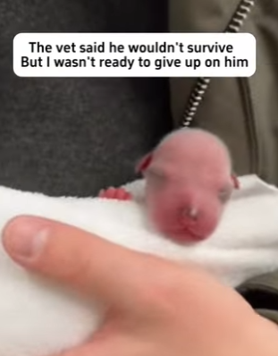 P1204002 He Was Born Without Fur and Left to Freeze (Part 2)