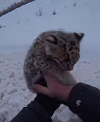 P1304010 Buried alive. Tom Cruise couldn’t have performed a better Mission. (Part 2)