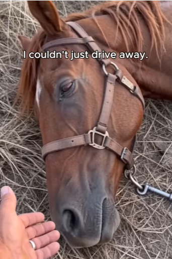 P1304008 Rihanna would call this soul a Diamond found in the dirt. (Part 2)