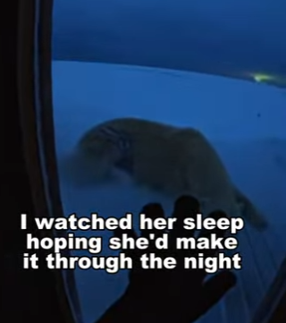 P1304004 Unbelievable ending (Part 2)