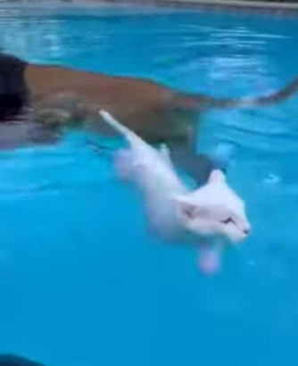 P1304006 Humanity’s darkest hour. Even Barack Obama would be shaken. (Part 2)