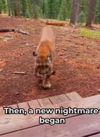 P1304002 She was on brink (Part 2)