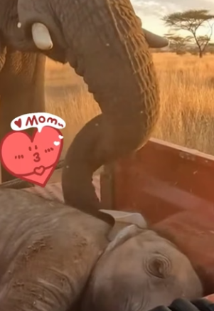 P1304005 From a Spear in the Leg to a Miracle for the Children! (Part 2)