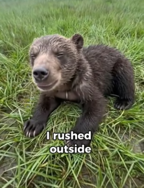 P1304009 Will Smith needs to see this real-life Pursuit of Happyness (Part 2)