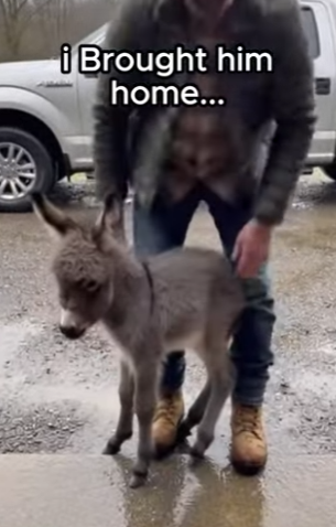 F1304002 Your bank account vs. Their heartbeat. Choose wisely (Part 2)