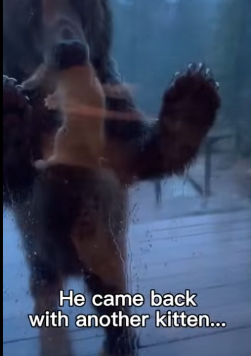 F1304005 Tom Holland plays a hero, but you can be a real one today (Part 2)