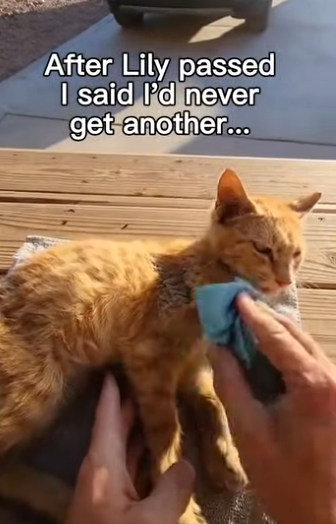 F1304008 One click to ignore. One hand to save. Which one are you (Part 2)