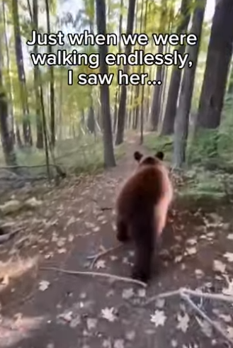 F1304012 Adele sings about the past. Let’s give this pup a future (Part 2)