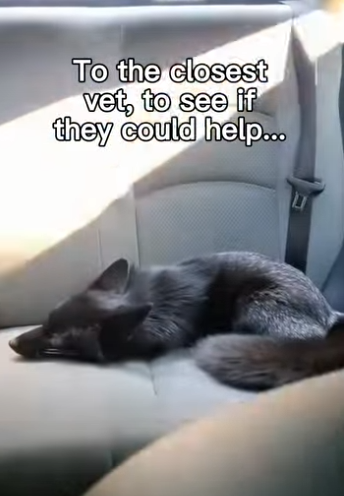 F1304007 Shakira says hips don’t lie, and these eyes don’t lie about the pain (Part 2)