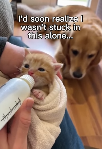 F1304004 Brad Pitt stars in movies. This is a real-life masterpiece. (Part 2)