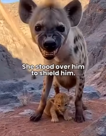 H1104005 Bernard Arnault couldn’t buy the luxury of this happy ending (Part 2)