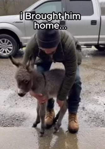 F1304002 Your bank account vs. Their heartbeat. Choose wisely (Part 2)