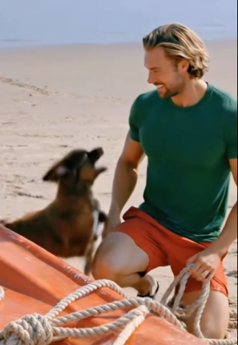 Brave Puppy Rescue poor unconscious seal on beach help (Part 2)