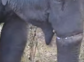 A1304002 One click to skip. One minute to share. One life to save (Part 2)
