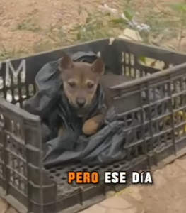 M1404004 Encerrado en una caja bajo el sol todos me vieron, pero nadie qui (Part 2)