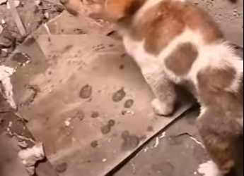 M1404005 Pensé que ese hueco sería mi tumba hasta que un ángel me cargó de (Part 2)
